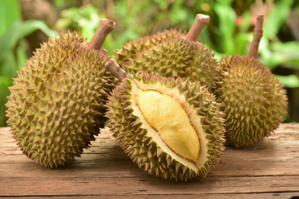 Durian king of Malaysian fruits